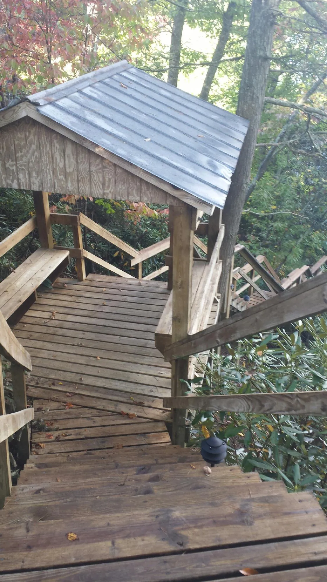 Metal roofed shelter over wooden steps on a wooded walkway — Skylight Repair & Installation work by our crew in Packwood