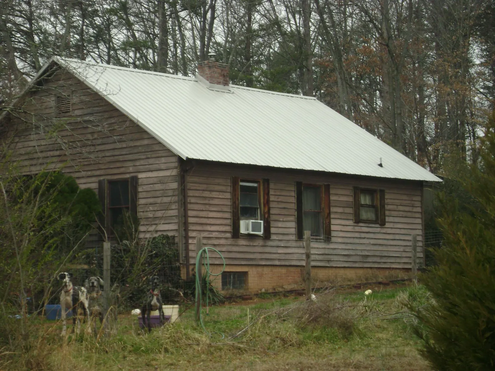 White metal roof on an old wood sided farmhouse, from a Metal Roof Installation job in Packwood